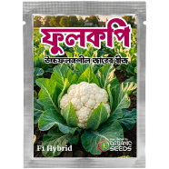 Hybrid Fulkopi Beej 1 gm image