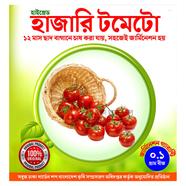 Hybrid Hazari Tomato image