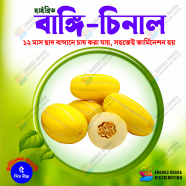 Hybrid Melon Seeds (Bangi) All Season 5 Pcs image