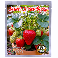 Hybrid Sweet Strawberry 0.25 gm image