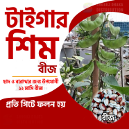 Hybrid TIGER Shim Seeds image