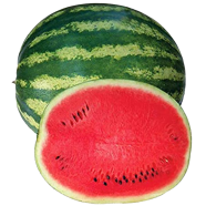 Hybrid Watermelon 10 Pcs Seeds image