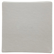 ICONIC Canvas Panel 5/5 Inch 1pc image