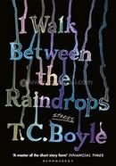 I Walk Between the Raindrops image