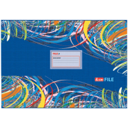 Icon Court File image