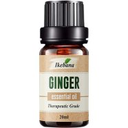 Ikebana Ginger Essential Oil (20 ml) image