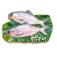 Ilish - Fridge Magnet icon