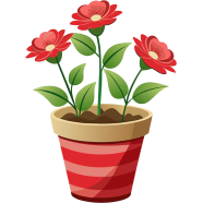 Imported Atenia Cordifolia Bonsai 30 Pcs Seeds image