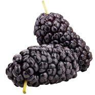 Imported Black Mulberry - 30 Pcs Seeds image