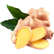 Imported Organic Ginger Seeds - 20 Pcs image