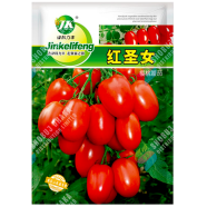 Imported Red Cherry Tomato Intact Pack - 1gm image