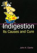 Indigestion it's causes and cure image