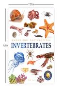 Invertebrates image