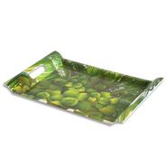 Italiano Rtg Handle Tray Green Coconut (16 - 859521 icon