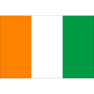 Ivory Coast Flag FIFA World Cup 2026 Printed Polyester Fabric image