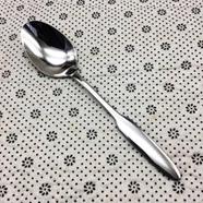 Jadroo Stainless Steel Table Spoon - JRBLS-02-1 icon