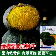 Japanese Black Pumpkin Seeds - 5pcs image