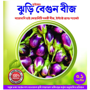 Jhuri Begun Beej image