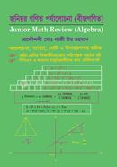 Junior Math Review (Algebra) image