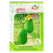 Jupiter Hybrid Wax Gourd Seeds (10gm) image