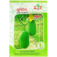 Jupiter Hybrid Wax Gourd Seeds (5gm) image