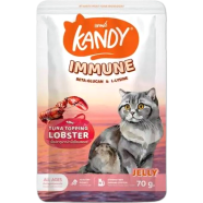 Kandy Cat Pouch Food IMMUNE Formula Tuna Topping Lobster in Jelly for All Ages Cats 70g image