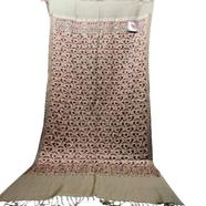 Kashmiri Poshmina Shawl For Women Winter image