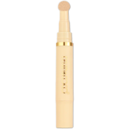 Kevin And Coco Complexion Concealer 4.2gm image