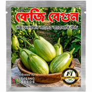 Kg Begun Seeds Intact Pack 0.25gm image
