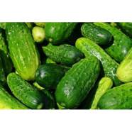 Khirai - 10 Pcs Seeds image