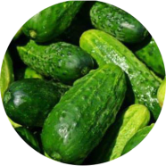 Khirai Seeds - 10 Pcs image