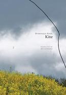 Kite image