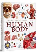Knowledge Encyclopedia Human Body image