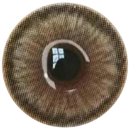 Ksseye Diamond,Norko Brown Contact Lens K100 Ksseye Color Contact Lenses With Kit Box FREE image