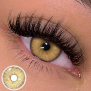 Ksseye Estonia Brown Color Contact Lens with Lens Kit Box image