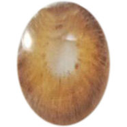 Ksseye Pattaya Brown Color Contact Lens image