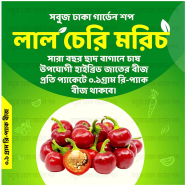 Laal Cherry Morich