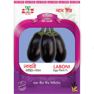 Laboni Hybrid Eggplant F1 image