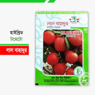 Lal Bahadur Hybrid Tomato Seeds (5gm) image