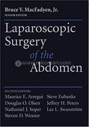 Laparoscopic Surgery of the Abdomen image