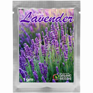 Lavender Seeds Intact Pack - 1 gm image