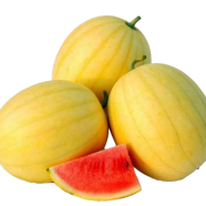 Little Size Watermelon Bonsai Fruit Seeds - 10 Pcs image