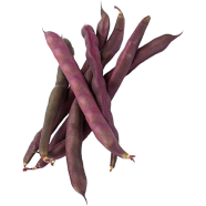 Long Bean Vine Seeds 20 Pcs image