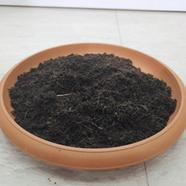 Loose Cocopeat 50 Percent Dry- 1 Kg image