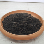 Loose Cocopeat 99 Percent Dry- 1 Kg image