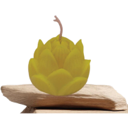 Lotus Flower Fragrance Candles image
