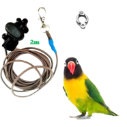 Lovebird Bird Anklet/ Foot Ring With 2m Elastic Harness Set image