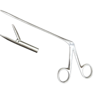Musa Alligator Forceps 6 Inch image