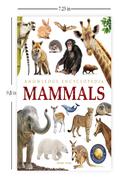 Mammals image