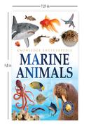 Marine Animals image